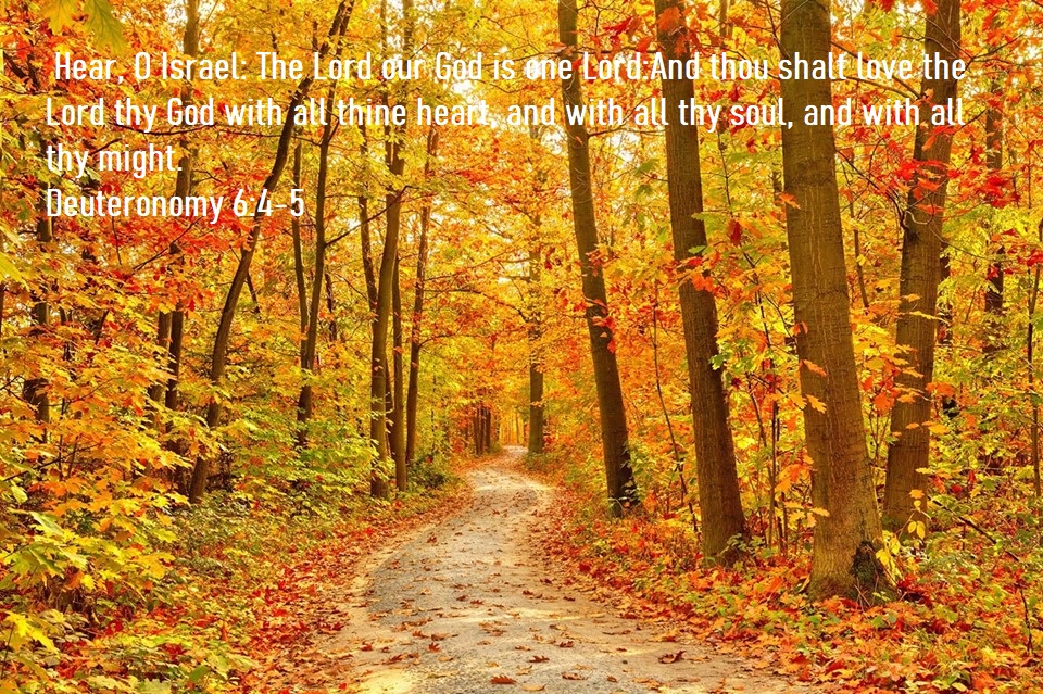 Deuteronomy 6 4 5 002