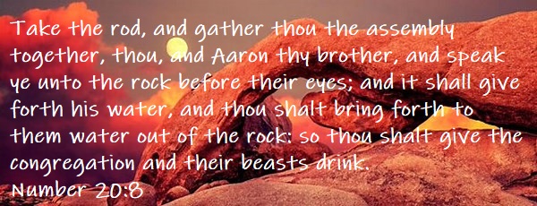 Numbers 20 8